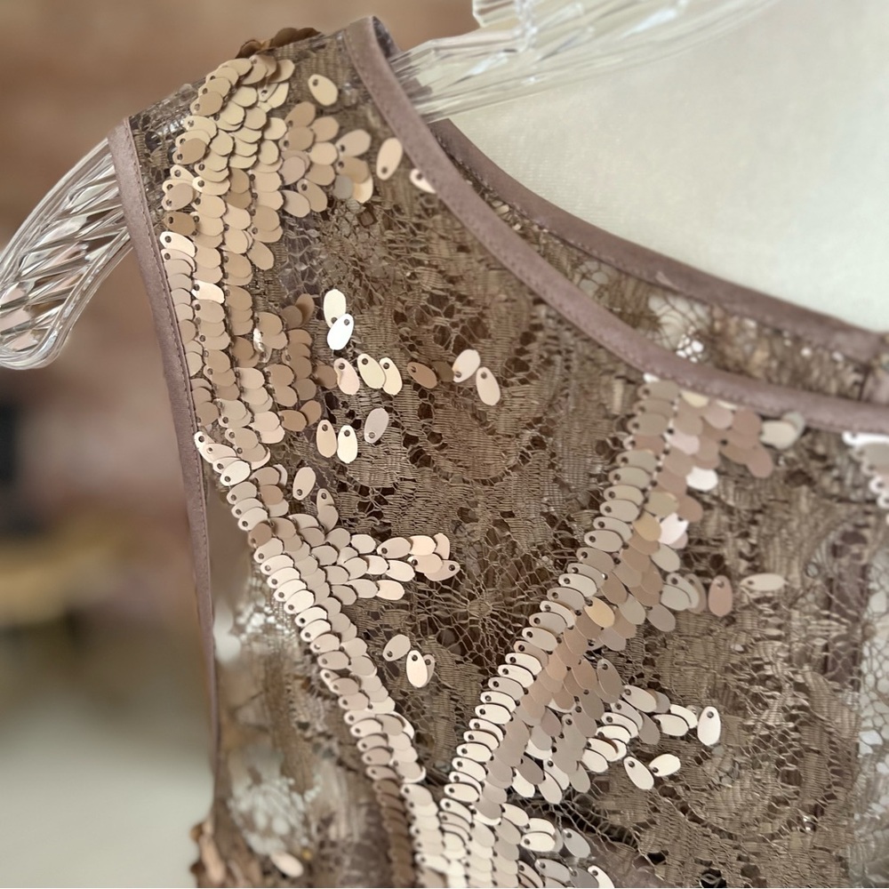 Adrianna Papell Taupe Champagne Lace Sequin Peplum Dress 14 Cocktail Glam - Picture 5 of 14